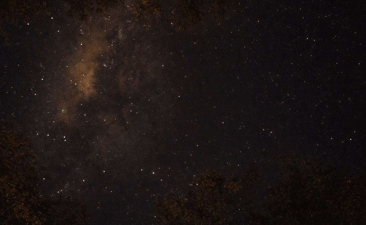 Stargazing