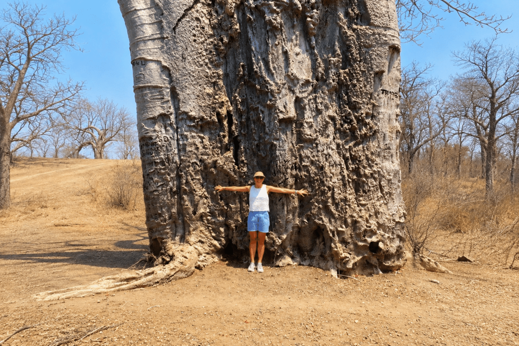Msuna Island Lodges on the Zambezi River in Zimbabwe